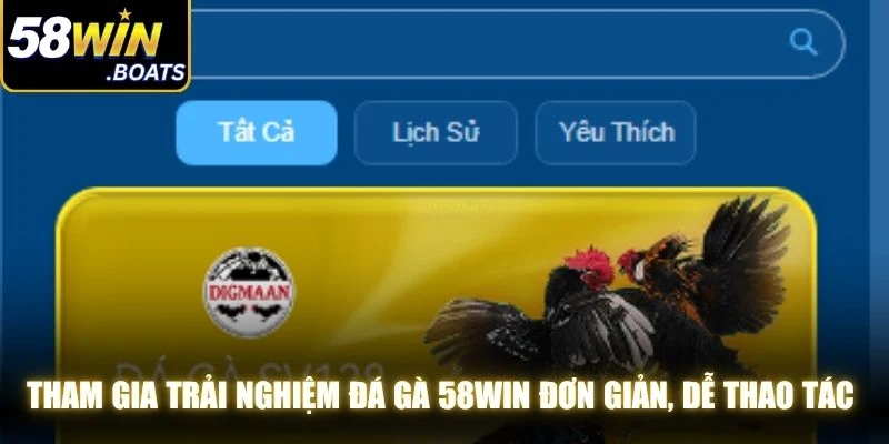 Tham gia trải nghiệm Đá gà 58WIN đơn giản, dễ thao tác với vài bước